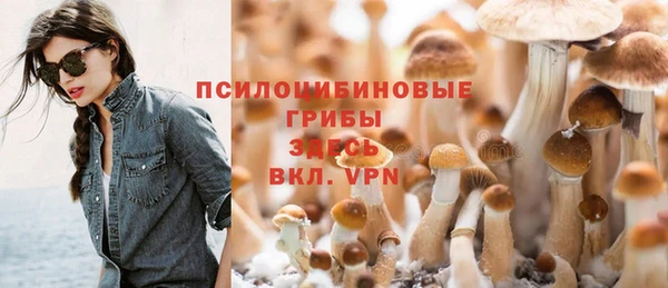 соль ск Балабаново